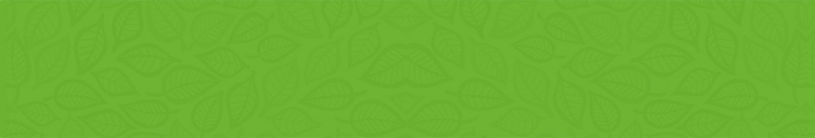 green_bg2.jpg