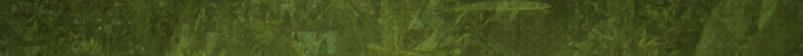 menu_background.png