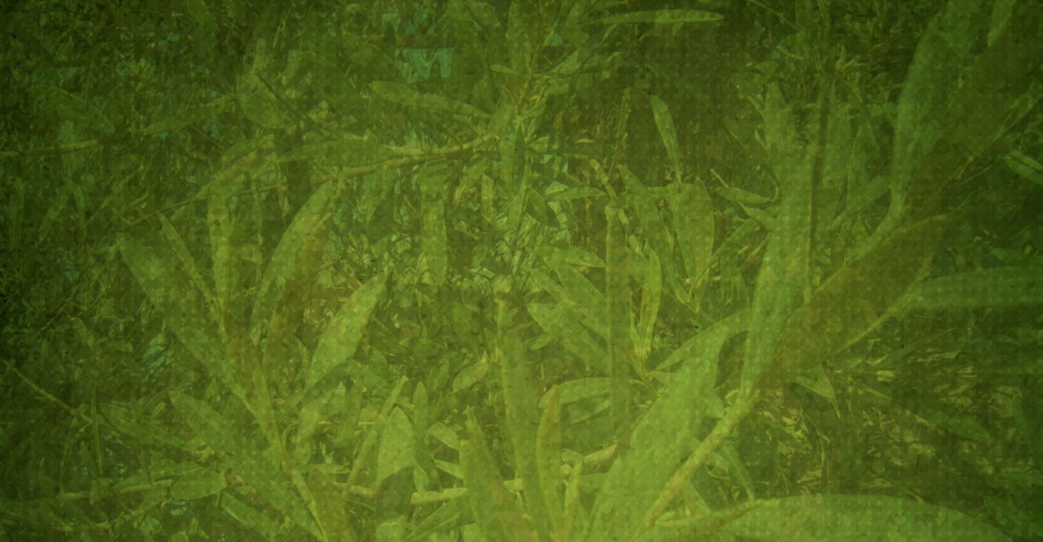 fondo-slider.jpg